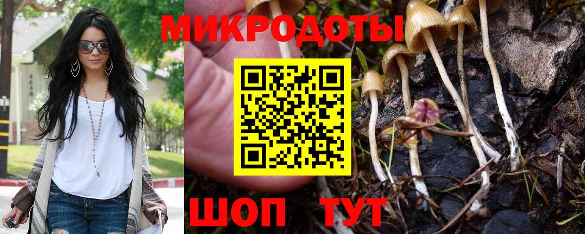Галлюциногенные грибы Magic Shrooms Мытищи