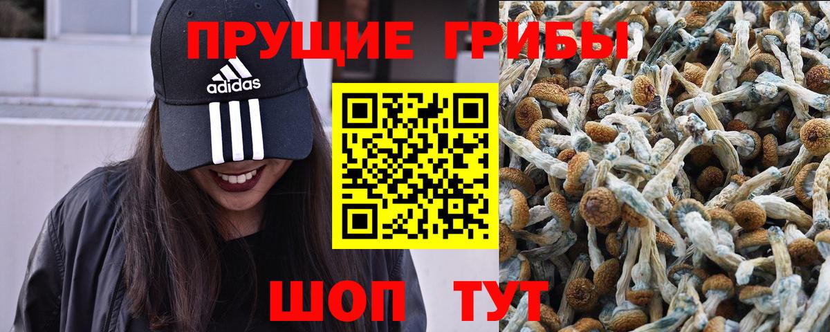 Галлюциногенные грибы Psilocybine cubensis  Вход с VPN  Мытищи 